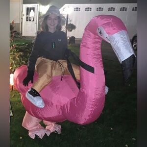Blow up flamingo costume